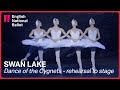 Swan Lake: Cygnets from rehearsal to stage (extract) | English National Ballet