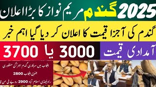 today wheat price in punjab//گندم کا ریٹ/25 '2024/munji makki till sarso/galla mandi rates today1509