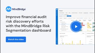 MindBridge Risk Segmentation Dashboard