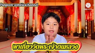 เที่ยวพะเยาวัดพระเจ้าตนหลวง(วัดศรีโคมคำ)