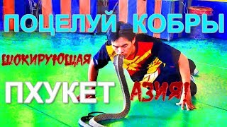 🔴Таиланд Пхукет🔥Шоу поцелуй кобры💥Шокирующая Азия🥇Змеиное шоу💥Отдых в Таиланде Пхукет🍒Travel vlog.