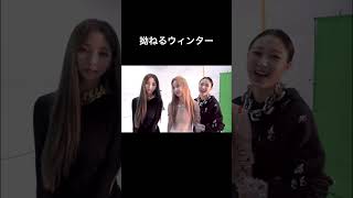 【日本語字幕】カリナとジゼルに裏切られるウィンター #shorts #aespa #karina #giselle #winter #エスパ #カリナ #ジゼル #ウィンター