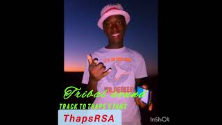 Thaps RSA _-_ track to Thaps's Fans (tribal sound) mp3