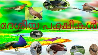 national birds #ദേശീയ പക്ഷികൾ