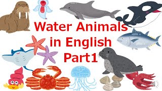 【English】Water Animals Part1 水の生き物を英語でインプット＆アウトプット！Part1