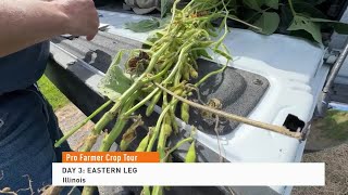 Day 3:  Pro Farmer Crop Tour Eastern Leg - Illinois