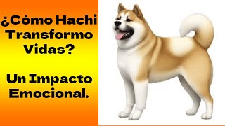 ¿Cómo Hachi transformo vidas?:Un Impacto Emocional.