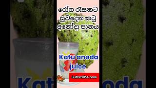 Katu Anoda juice (soursop)|  රෝග රැසකට සුවදෙන රසම රස කටු අනෝදා පානය 😋😋😍 @Village cookies channel