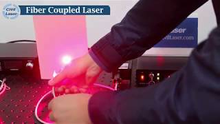 Fiber coupled laser 655nm 2W Semiconductor Laser Source