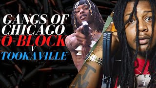 Gangs of Chicago - O Block v Tookaville