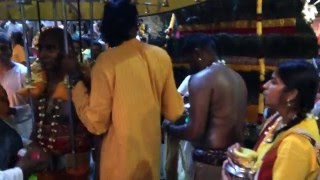 馬來西亞黑風洞 大寶森節 Malaysia Batu Caves Thaipusam