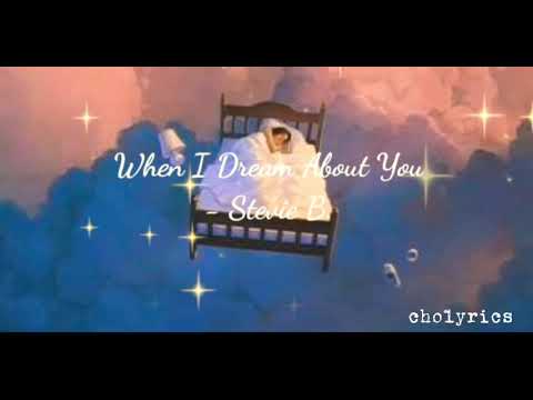 Stevie B. - When I Dream About You - YouTube