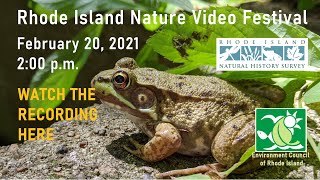 Rhode Island Nature Video Festival 2021 WATCH THE WHOLE LIVE RECORDING HERE