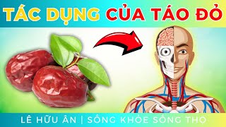 9 Tác dụng tốt không ngờ của TÁO ĐỎ KHÔ với sức khỏe (và những lưu ý để sử dụng an toàn)