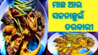 ମାଛ ଆଉ ସଜନାଛୁଇଁ ତରକାରୀ/ଏକଦମ ନୂଆ ରେସିପି#odiavlogs #odiacooking@sradhadigital