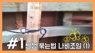 주식회사 인성 - #1 반생 묶는법 나비조임(1)