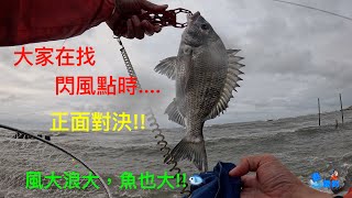 「泰愛釣」前打/目印浮球/五級東北風作釣--小潮水也是有大鯛，只因為他乘著風浪而來...😆