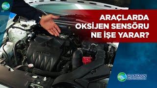 Araçlarda Oksijen Sensöru Ne İşe Yarar ? Bozuk Oksijen Sensörü Yakıt Arttırır mı ?