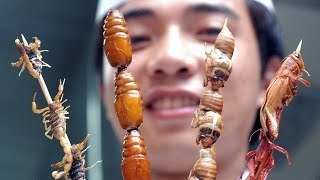 Insekten Essen Doku Deutsch