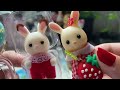 unboxing baby creme sylvanian families🐰🍓