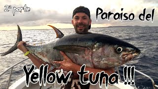 ▶️ ❌ Pesca EXTREMA en CABO VERDE!! Spinning / Jig Casting y JIGGING!! 2º Parte