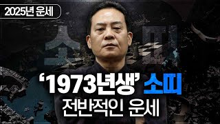 2025년 을사년 운세 / 1973년생 소띠의 전반적인 운세