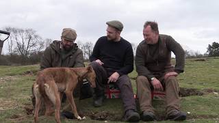 Ferreting in Suffolk