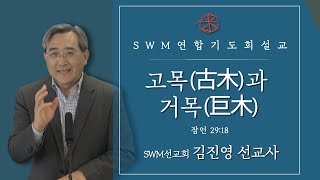 [SWM] 고목(古木)과 거목(巨木) | 김진영선교사 | 2021.02.25