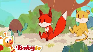 Pix \u0026 Leo 🦊  - New Episodes Only on BabyTV | @BabyTV