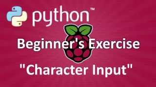 Python Beginner's Exercise : Character Input