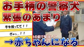 緊張しまくりの警察犬が可愛すぎて草ｗｗｗ【2ｃｈ動物スレ】