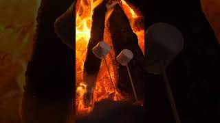 ROASTING MARSHMALLOWS #campfire #shorts #marshmallo #ytshorts #fire