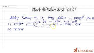 DNA का संश्लेषण किस अवस्था में होता है ?