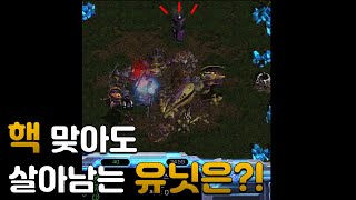 핵 맞아도 살아남는 유닛은?! ( Starcraft )