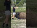 Woman Taking Selfie Gets Too Close to Bison at Yellowstone National Park