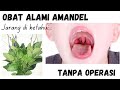 Natural Sore Throat / Tonsillitis Medication without Operation (Tonsillitis) | dr. Ema Surya P