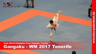 Kata Gangaku by World Champion U16 Enes Ozdemir