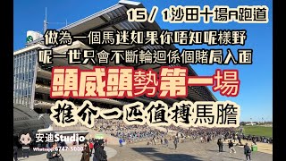 作為一個馬迷如果你唔知呢樣野,呢一世只會不斷輪迴係個賭局入面.15/1沙田十場A跑道.頭威頭勢第一場,連贏位置Q四重彩膽.推介多一隻值搏馬膽.