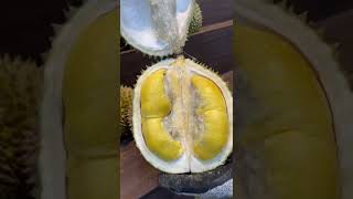 Belah durian musangking #durian #musangking #masduren