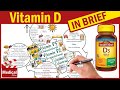 Vitamin D3 (Cholecalciferol) - Vitamin D2 (Ergocalciferol) - Calcitriol: Sources, Uses, Dosage ...