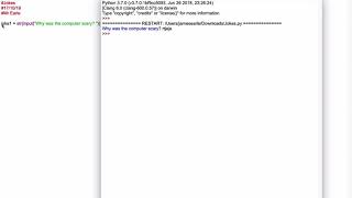 Jokes in Python Code