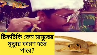 ৯৯% মানুষ জানে না টিকটিকি হত্যা করা কেন সওয়াবের কাজ!? Why kill lizards is the work of Swab, #Shorts