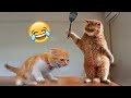 Best Funny Animal Videos of the year (2023), funniest animals ever. relax with cute animals video