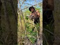 a man seen and play with eagle on a tree. eaglehunt wildeagle cute nature birds forest tree