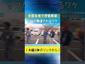 【狩猟解禁】クマはハンターから敬遠されるのはナゼ？