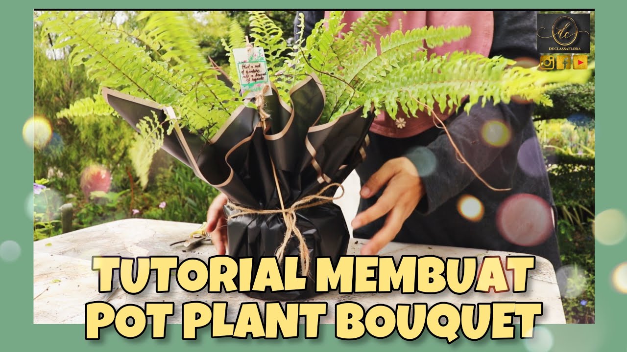 TUTORIAL CARA MEMBUAT BOUQUET POT PLANT - YouTube