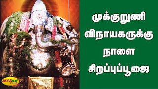 முக்‍குறுணி விநாயகருக்‍கு நாளை சிறப்புப்பூஜை | Mukkuruni Vinayagar