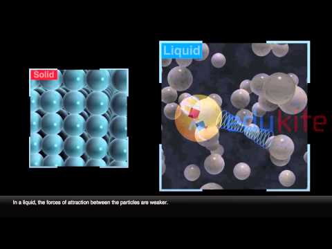 What do the particles in solids liquids and gases have in common?