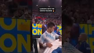 Djokovic gets the crowd roaring | #tennis | #eurosportindia | #shorts