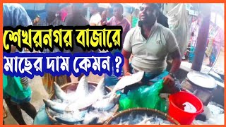 শেখর নগর বাজারে মাছের দাম কেমন চলছে || ইলিশ মাছ || কাতল মাছ || Nisu khan vlog